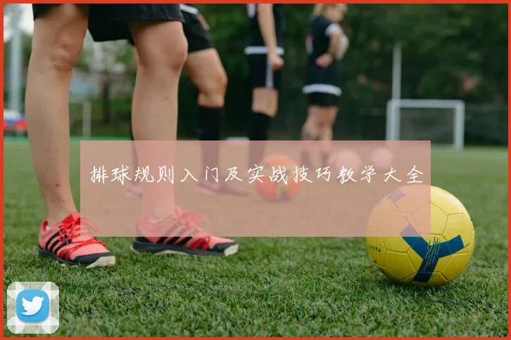 排球规则入门及实战技巧教学大全