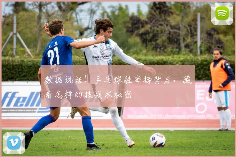 数据说话！乒乓球胜率榜背后，藏着怎样的技战术秘密