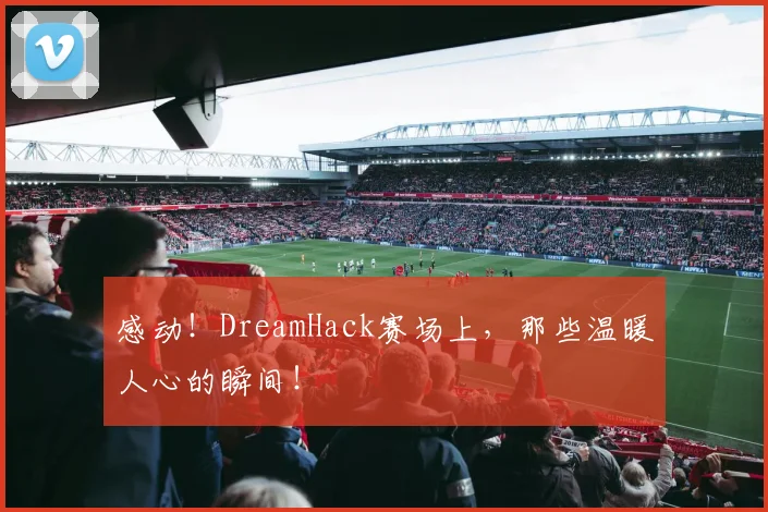 感动！DreamHack赛场上，那些温暖人心的瞬间！