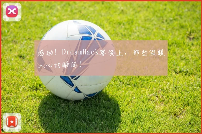 感动！DreamHack赛场上，那些温暖人心的瞬间！